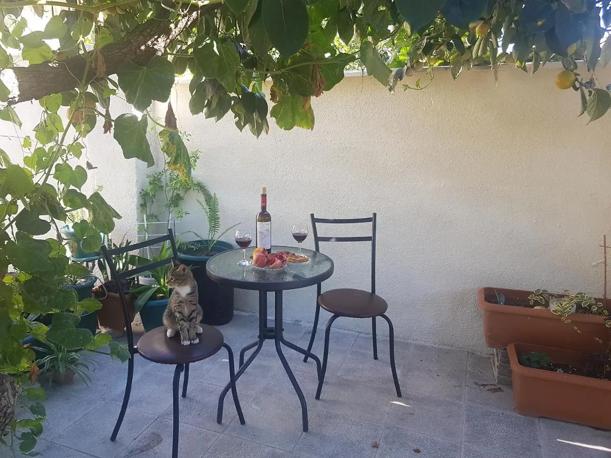 Summer Garden Tbilisi Guest house